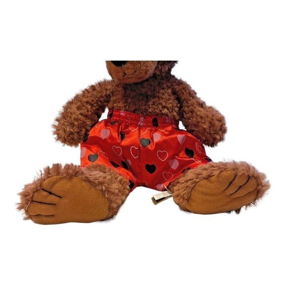 Valentine Plush Teddy Bear Brown Max First & Main Stuffed Animal Boxer Shorts - Picture 4 of 13